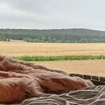 Wow Magisches Luxus Glamping Mit Pool Im Paradies * Bad Salzdetfurth