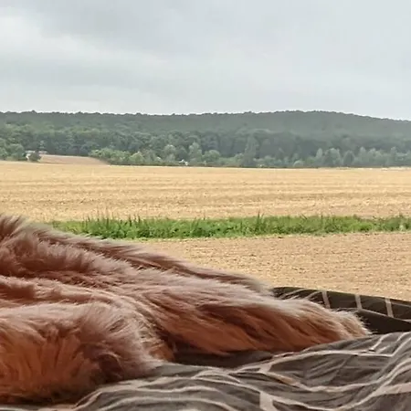 Wow Magisches Luxus Glamping Mit Pool Im Paradies * 바트잘츠데트푸르스