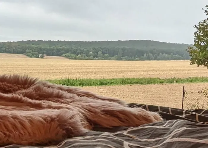 Wow Magisches Luxus Glamping Mit Pool Im Paradies * Bad Salzdetfurth